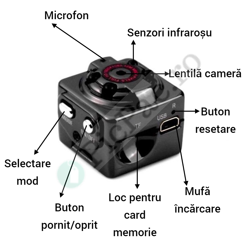 bef2e799-1b89-469d-b100-de2c914e4dbd_2