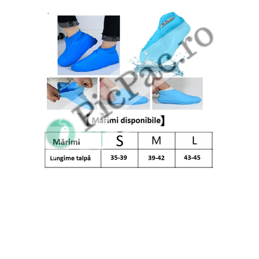 b91086f1-fba0-4e78-be12-5f4d28ca425c_3